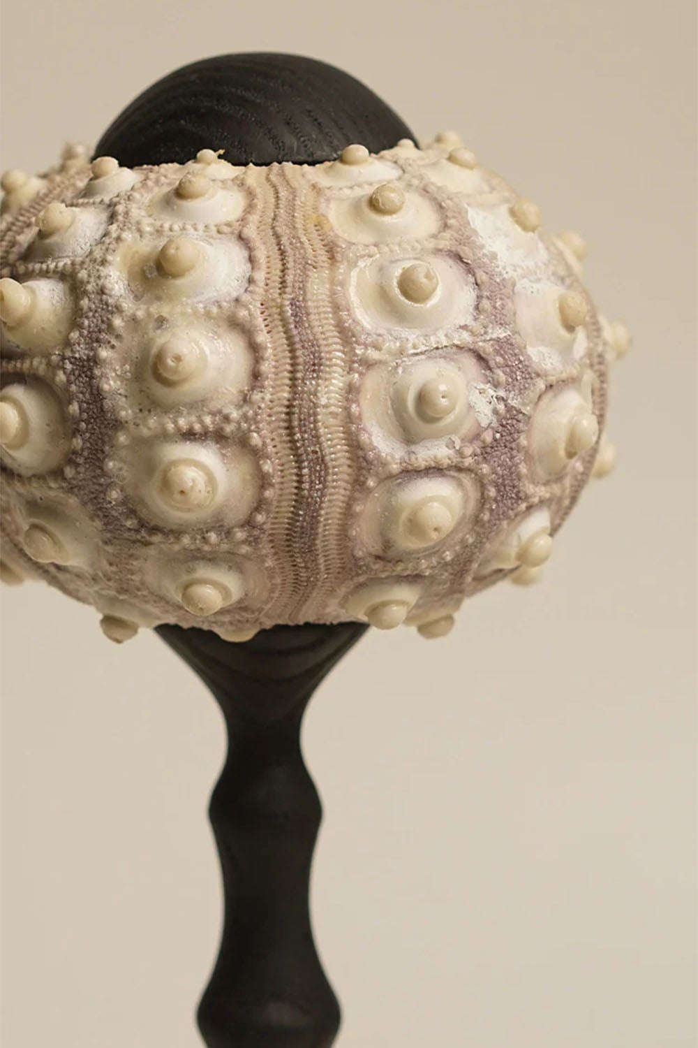 Sea Urchin Table Lamp - view 9 | everlamps