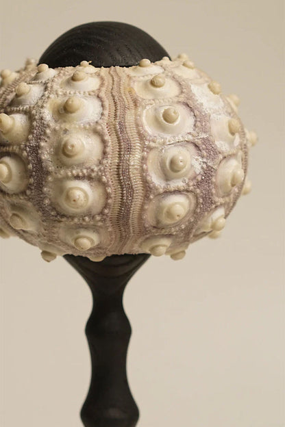 Sea Urchin Table Lamp - view 9 | everlamps
