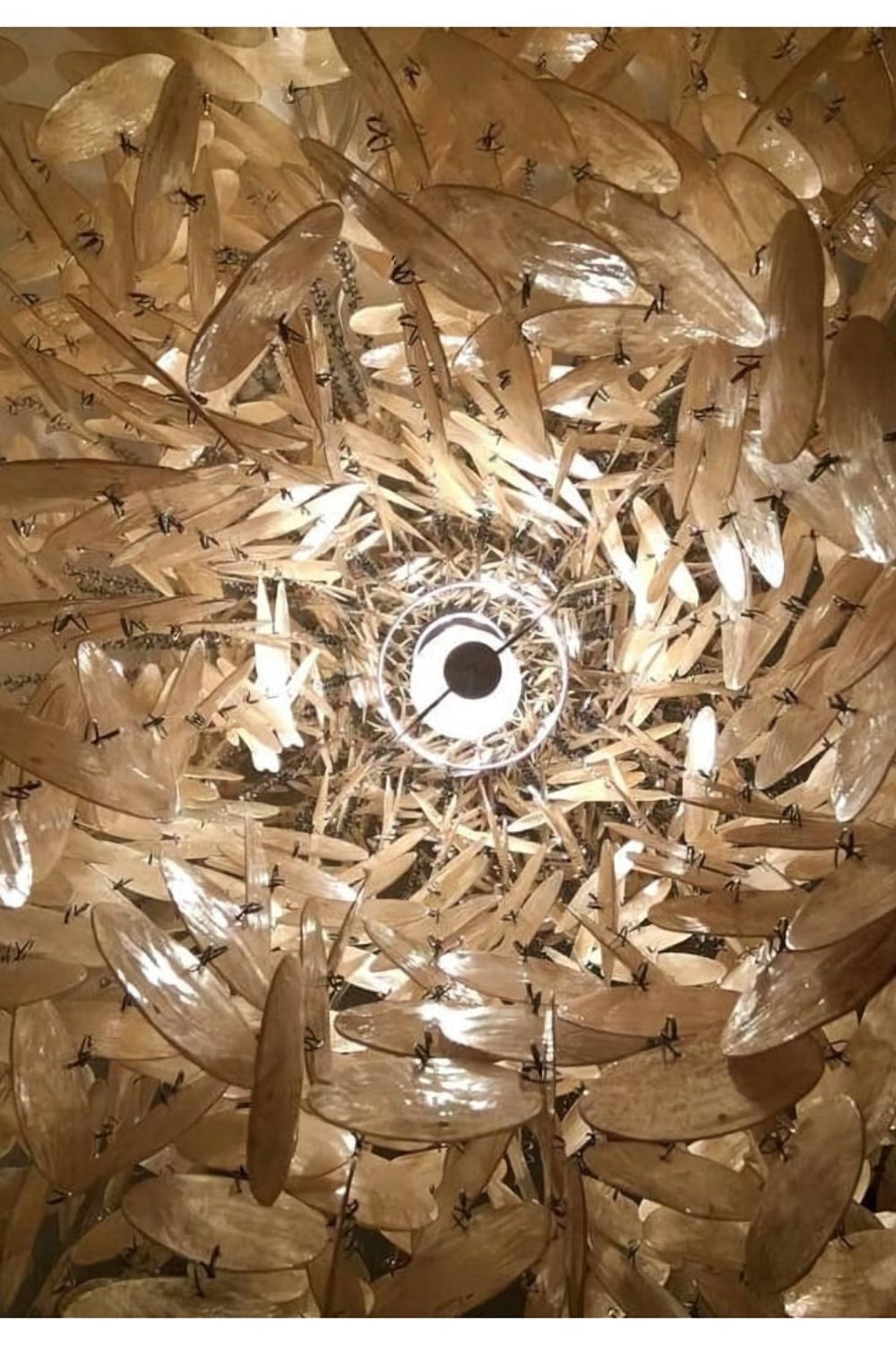 Verpan Fun 8DM Shell Chandelier - view 13 | everlamps