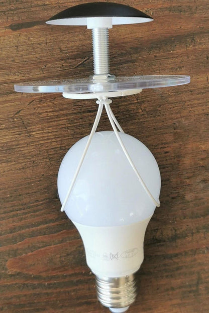 Squiggle Table lamp - everlamps