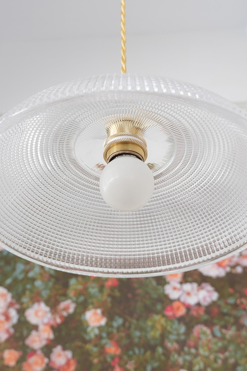Textured Dome Glass Pendant Light - view 15 | everlamps