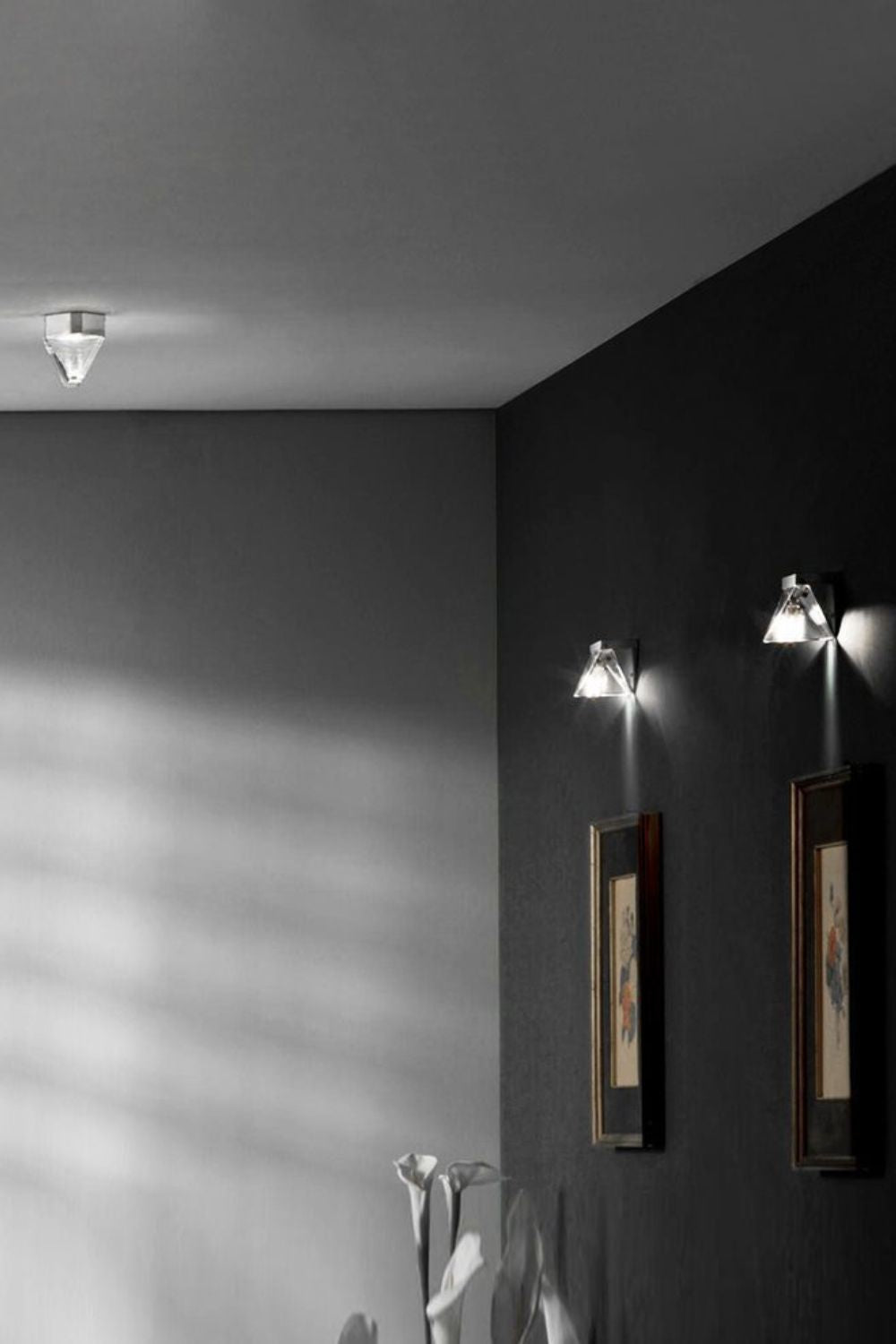 Tripla Ceiling light - everlamps