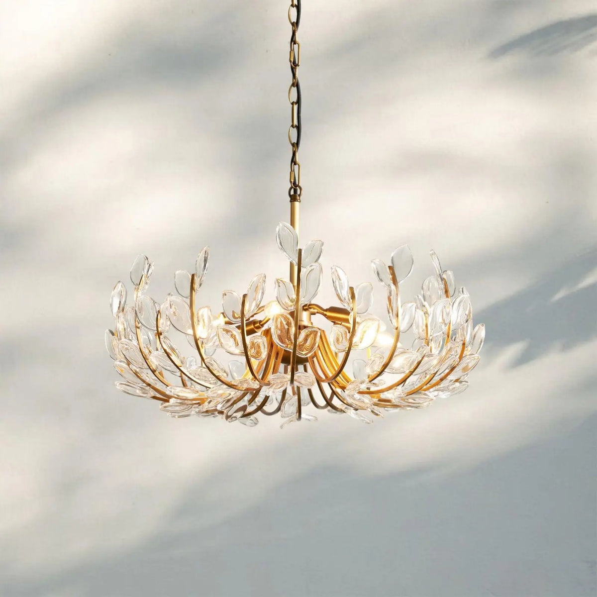 Adela 6/8 Lights Chandelier - 26’’ 6-Light