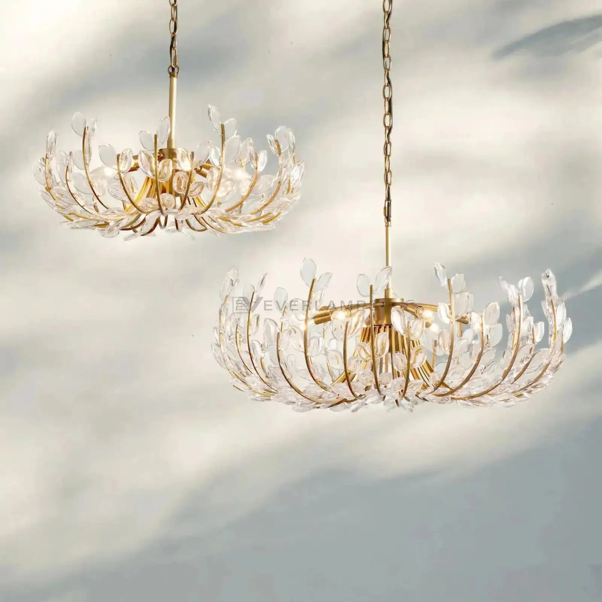 Adela 6/8 Lights Chandelier